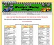 Mankato Free Press, Mankato, MN--2008 Fantasy Racing League
